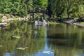 an arch bridge in the japanese park in wrocÃâaw Royalty Free Stock Photo